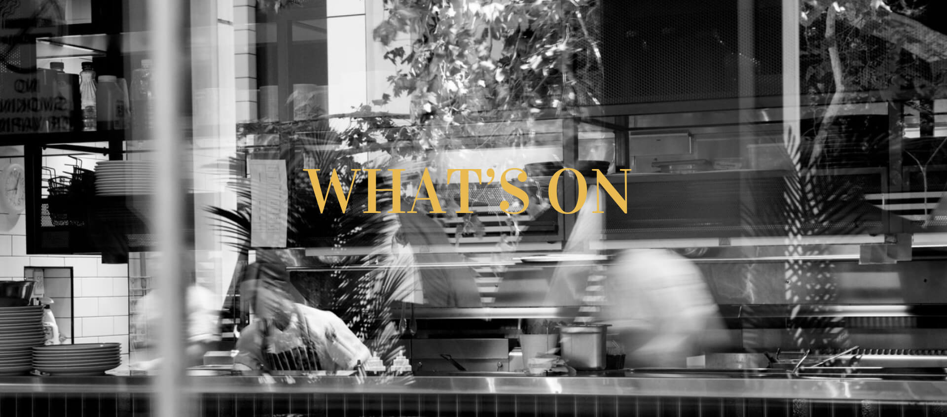 What's On Banner